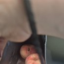 참아름교회 이미지