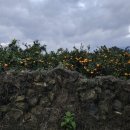 돌과 바람 리조트 이미지