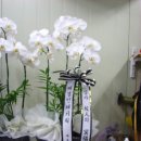 태경인쇄