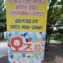 오즈를 찾아서 놀이극 | 수원 오즈를찾아서 어린이참여놀이극 꼭한번 가보세요