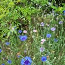 강류재민박 이미지