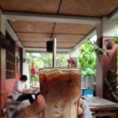 그린홈 호스텔 | 치앙마이 그린타이거하우스 조식 모음(4박 5일 메뉴판과 메뉴 50가지)