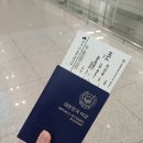 드림자동차랜드 | 2026 7/8 싱가포르 1일차(1): 싱가포르 항공 SQ607 탑승 후기, 싱가포르 입국
