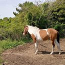 14-1코스 이미지