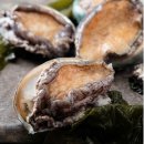 산지수산 이미지