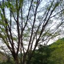 흙이랑별 이미지