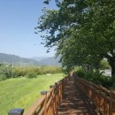 섬진농장 이미지