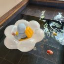 노아 풀빌 이미지