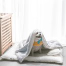 애견백화점 이미지