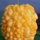 여주-0748 이미지