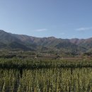 스테이유을 이미지