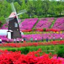 추동체험휴양마을 이미지