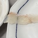 칠포항펜션 | 칠포횟집 설바위스쿠버횟집펜션 인생 횟집 만났어요!