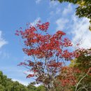 소원산장 이미지