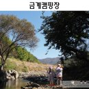 금계관광농원 이미지