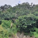 수능엄사 옆 이미지