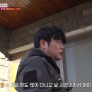 소용농장 | 고양이 탐정 비용 의뢰비 절차 가격 총정리 f.동물농장