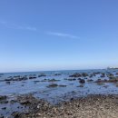 경희네민박 이미지