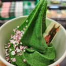 송월동 카페 특화거리 | 수원역 카페 추천 교토퍼펙트말차 롯데몰 수원 진한 말차 아이스크림 완벽 단계 후기