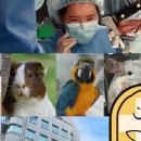 아크리스동물의료센터 이미지