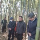 영광의원 이미지