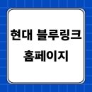 블루링크 홈페이지 이용하기