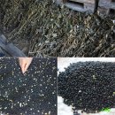 고추장익는마을 이미지