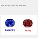 삼대장 - 목포시 당가두로38번길 4-27 | 삼대장