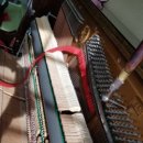 스타피아노 이미지