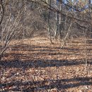 석곡주유소 이미지