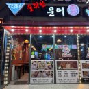 술취한문어 이미지