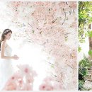 스튜디오 베스트 이미지