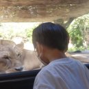 오월드2 이미지