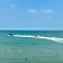 정관아쿠아 드림파크 이미지