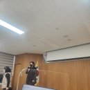 법인베리벨벳