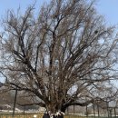 행복마을 로또복권 이미지