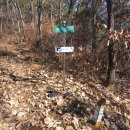 삼가로3 이미지