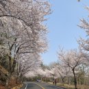 보리수미용실 - 홍성군 조양로143번길 38 | 보리수미용실
