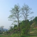 해운대송정우림필유 이미지