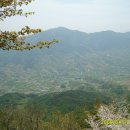 큰골샘터 이미지