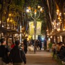 보정동 카페거리 이미지