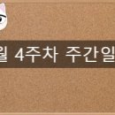 (주)태영소프트 이미지