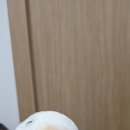 인중산업