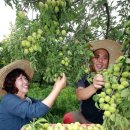 김연화농장 이미지