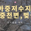 가리내로 이미지