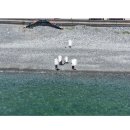 X1 플라이 모어 콤보 (DJI RC 2) 드론 추천 입문자용 드론 스펙 및 실사용 후기 Care Refresh 보험 등록