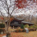 둔대동 박씨 고택 | 군포 박씨고택 (朴氏古宅)