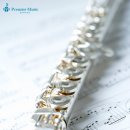 플루트 1:1 개인레슨 이미지