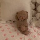 Happy moments 이미지