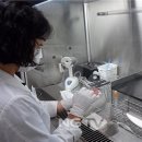 암태보건지소 이미지